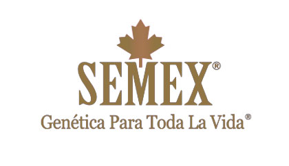 logo-semex